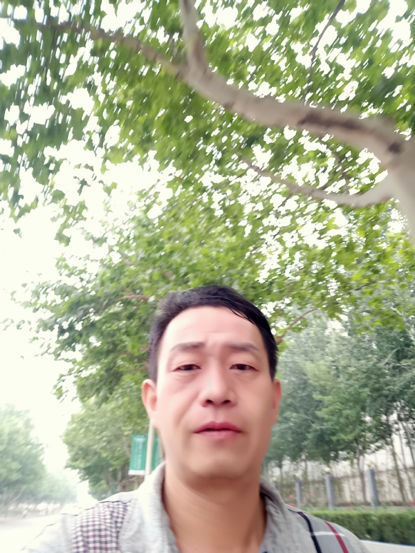阳光的第一张照片--石家庄上门女婿服务网