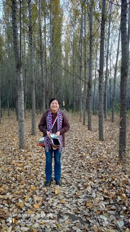 小海星的第二张照片--石家庄上门女婿服务网